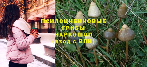 стафф Алексин