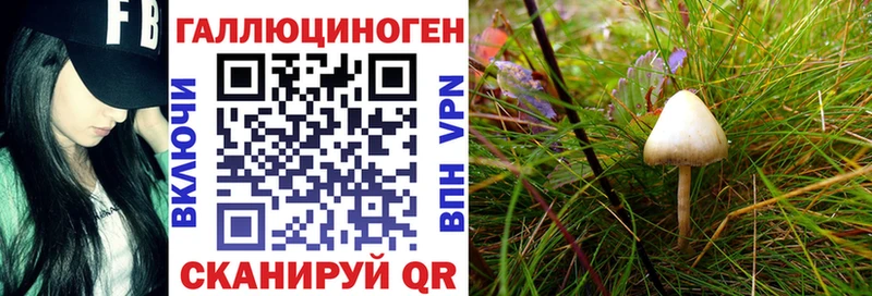 где продают   Таштагол  Псилоцибиновые грибы Magic Shrooms 